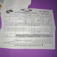 گوشواره  پلاک زنجیر|جواهرات|اهواز, سیصد دستگاه|دیوار