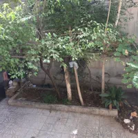 فروش ویلایی|فروش خانه و ویلا|کرج, ساسانی (قلمستان)|دیوار