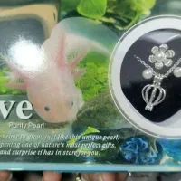 بدلیجات|جواهرات|اهواز, شریعتی جنوبی|دیوار