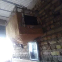 مامله ای با مرغ عشق