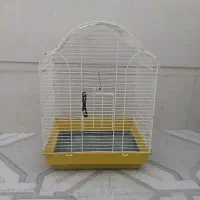 قفس پرندگان