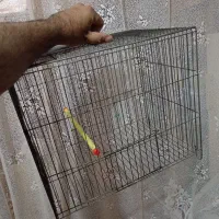 قغس|لوازم جانبی حیوانات|نجف‌آباد, هفده شهریور|دیوار