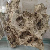 آکواریوم شرکتی شیشه خم ماهیران|لوازم جانبی حیوانات|همدان, |دیوار