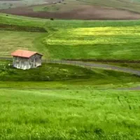 جویای کار هستم از گرگان