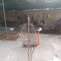 جوشکار درب و پنجره ساز ماهر و نیمه ماهر باجای خواب|استخدام معماری، عمران و ساختمانی|تهران, بهمن یار|دیوار