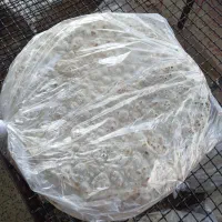 کارگر نانوایی