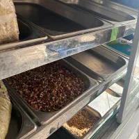 یخجال اجیل و شکلات مشهد سرما