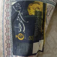 فرش 12متری|فرش|مشهد, خواجه ربیع|دیوار