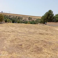 فروش زمین ۱ هکتار|فروش زمین و ملک کلنگی|چگنی, |دیوار