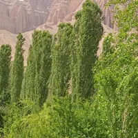 فروش ۱۵۰ متری