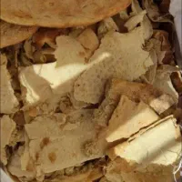 ضایعات لاک پت کارتن کتاب آهن حلب رانی|عمدهفروشی|بیرجند, |دیوار