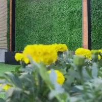 آبشار و آبنما و فلاور باکس|مصالح و تجهیزات ساختمان|بروجرد, |دیوار