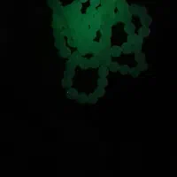 تسبیح|کلکسیون اشیاء عتیقه|شیراز, لاله|دیوار