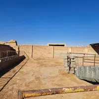 دامداری صنعتی مجزا|اجارهٔ دفتر صنعتی، کشاورزی، تجاری|نیشابور, شهرکهنه|دیوار