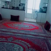 در حد نو