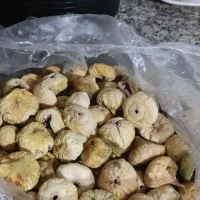 انجیر|خوردنی و آشامیدنی|مرودشت, پشت سایپا‎|دیوار