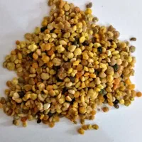 خاویار گیاهی.
