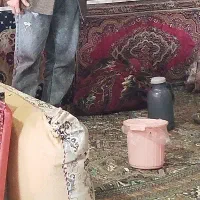 کار در کافه
