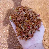 تفاله چغندر وسیب وعلوفه ذرت|عمدهفروشی|زنجان, |دیوار