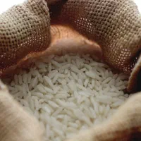 برنج طارم شمال (مازندران) رسید.|خوردنی و آشامیدنی|بندرعباس, |دیوار