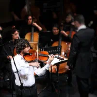 تدریس خصوصی و آنلاین ویولا و ویولن برای تمامی سنین