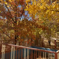 رهن و اجاره اپارتمان ۱۰۰ متری امیرکبیر