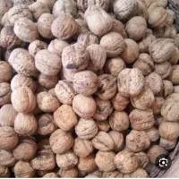 گردو کیلو 300هزار