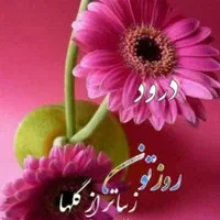 ۶۷ هکتار بویین زهرا ، خزایی