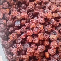 آلوچه خشک و هسته زرد آلو شیرین و لواشک خوشمزه