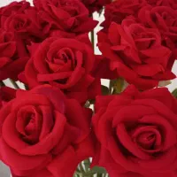 گل مصنوعی رز قرمز ۲۰