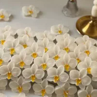 شمع های زیبای تزیینی|صنایع دستی و سایر لوازم تزئینی|تهران, خانی آباد نو شمالی|دیوار