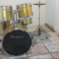 برند پائوچیا
