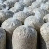 خرید فروش تفاله سیب چغندر نم دار و خشک