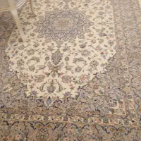 کار خانه قالی شویی بی نظیر|خدمات نظافت|حمیدیا, |دیوار