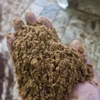 انواع پودر گوشت طیوری