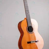 آموزش گیتار از مبتدی ماهانه ۱تومان