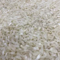 برنج کامفیروزی