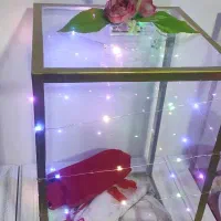 باکس هدیه|گل مصنوعی|زنجان, |دیوار