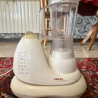 غذا ساز چند کاره تفال فرانسه