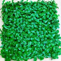 پخش عمده گرین وال گل مصنوعی|گل مصنوعی|کرمان, |دیوار