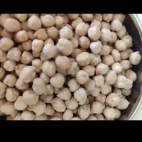 نخود درجه یک تازه