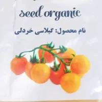 معجزه ای در کاشت گوجه|عمده‌فروشی|شیراز, کوی زهرا|دیوار
