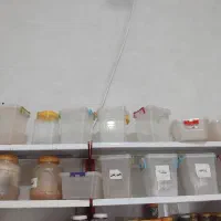 ظروف خالی و کارکرده|ظروف نگهدارنده، پلاستیکی، یک‌بارمصرف|خوی, |دیوار