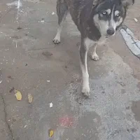 فروشنده معاوزه می کنم