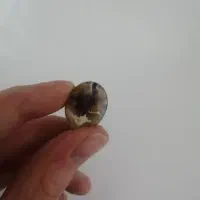 سنگ عقیق شجر