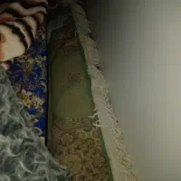 دو عدد فرش ۹متری درحد مشاهده محصول ب صورت تلفنی