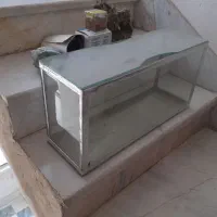 گاز الپیجی پیکان. ۲/۵۰۰ ت|قطعات یدکی و لوازم جانبی|کرمانشاه, |دیوار