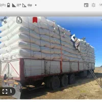 کاه دیم فروشی