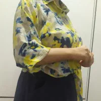 شومیزگره ای