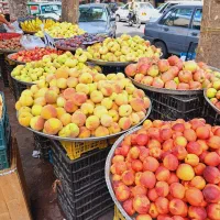 میوه فروشی به یک نیروی کار